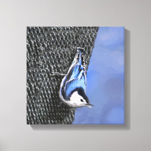 White-Breasted Nuthatch Painting Original Bird Art Canvas Print