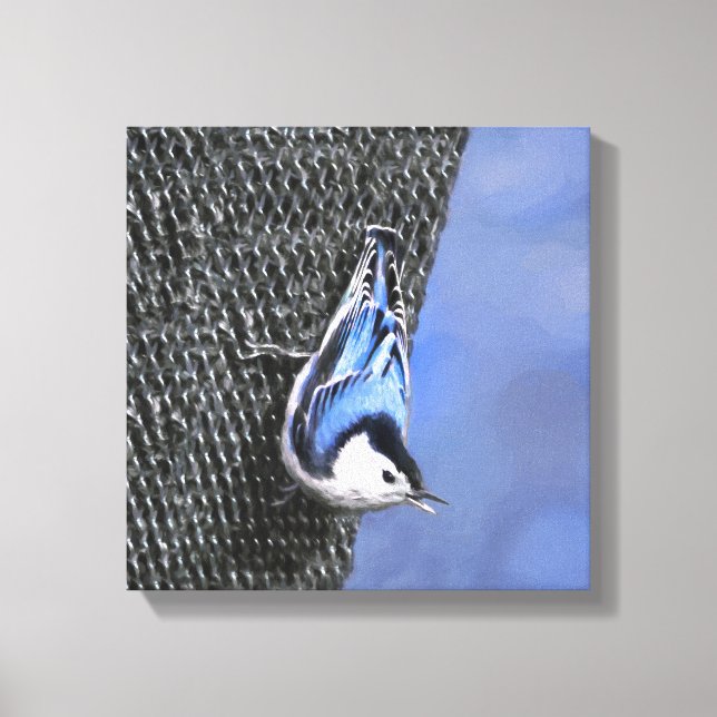 White-Breasted Nuthatch Painting Original Bird Art Canvas Print (Front)