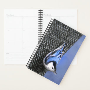 White-Breasted Nuthatch Painting Original Bird Art Planner