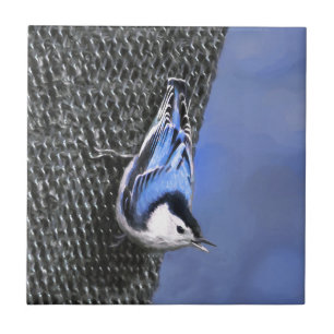 White-Breasted Nuthatch Painting Original Bird Art Tile