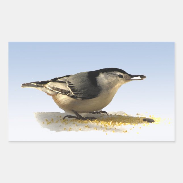 White-breasted Nuthatch Rectangular Sticker (Front)
