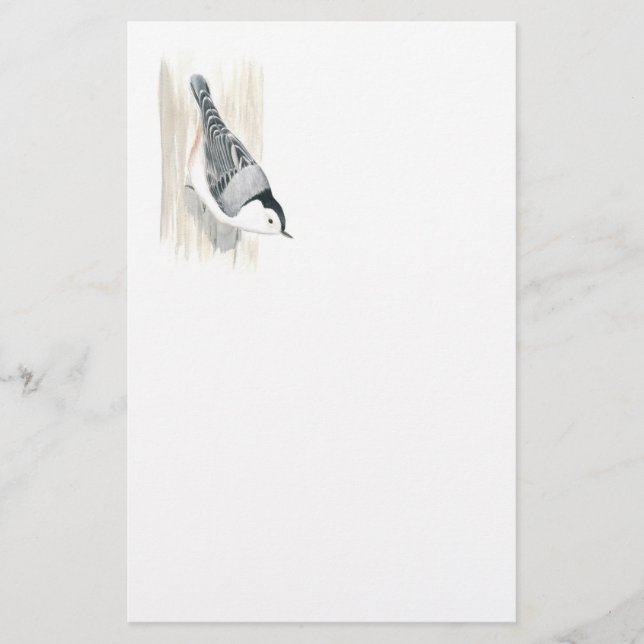 White-breasted Nuthatch Stationery (Front)