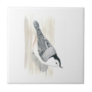 White-breasted Nuthatch Tile