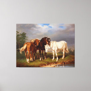 White Brown Caramel Horse Canvas Print
