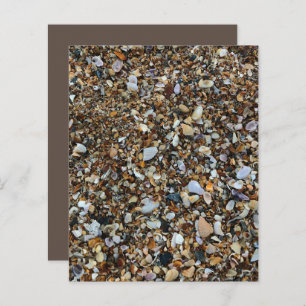 White Brown Coquina Sea Shell Beach ScrapbookPaper