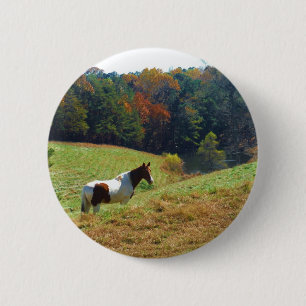 White & Brown horse, Autumn pond 6 Cm Round Badge