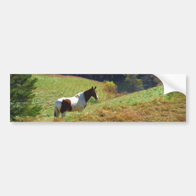 White & Brown horse, Autumn pond Bumper Sticker (Front)
