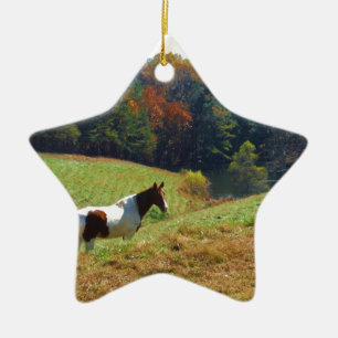 White & Brown horse, Autumn pond Ceramic Tree Decoration