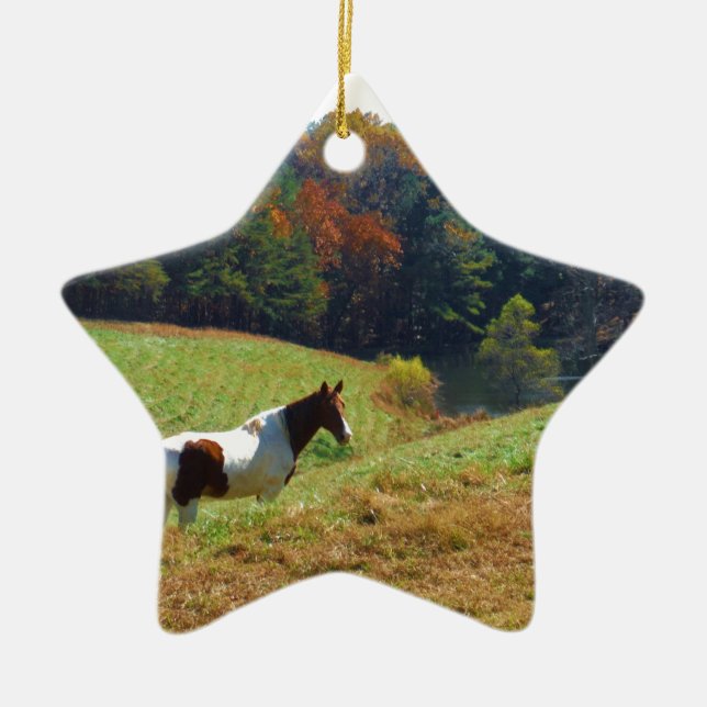 White & Brown horse, Autumn pond Ceramic Tree Decoration (Front)