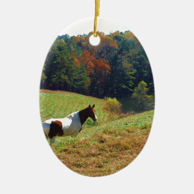 White & Brown horse, Autumn pond Ceramic Tree Decoration (Front)