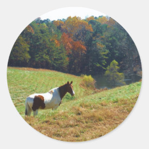 White & Brown horse, Autumn pond Classic Round Sticker
