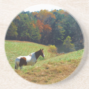 White & Brown horse, Autumn pond Coaster