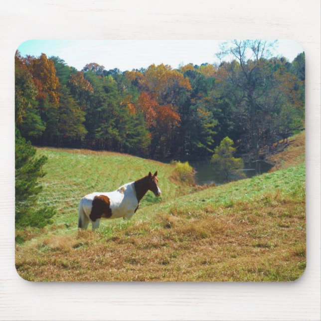 White & Brown horse, Autumn pond Mouse Mat (Front)