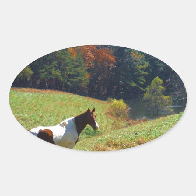 White & Brown horse, Autumn pond Oval Sticker (Front)
