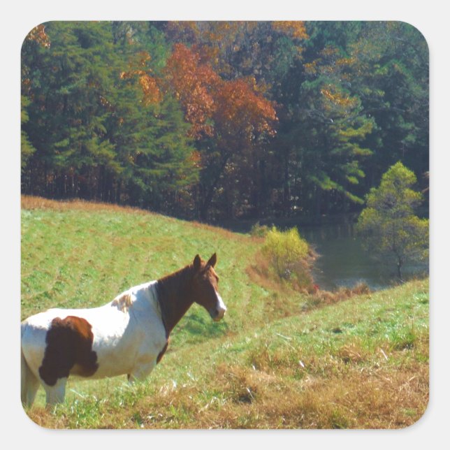 White & Brown horse, Autumn pond Square Sticker (Front)