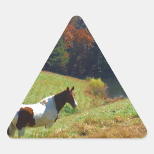 White & Brown horse, Autumn pond Triangle Sticker
