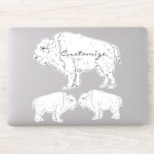 White Buffalo Thunder_Cove