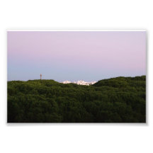 White Buildings Peeking Over Pine Trees Portugal