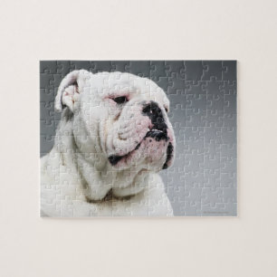 White Bull Dog Jigsaw Puzzle