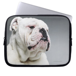 White Bull dog Laptop Sleeve