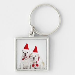 White bulldogs key ring