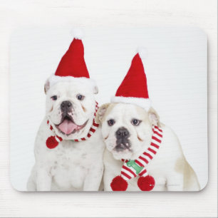 White bulldogs mouse mat