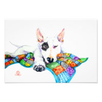 White Bullterrier on Patchwork - Art