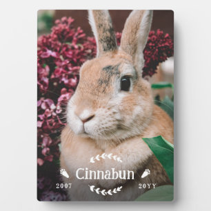White Bunny Paws Greenery Photo Rabbit Memorial Plaque