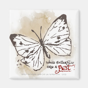 White Butterflies are a Pest Magnet