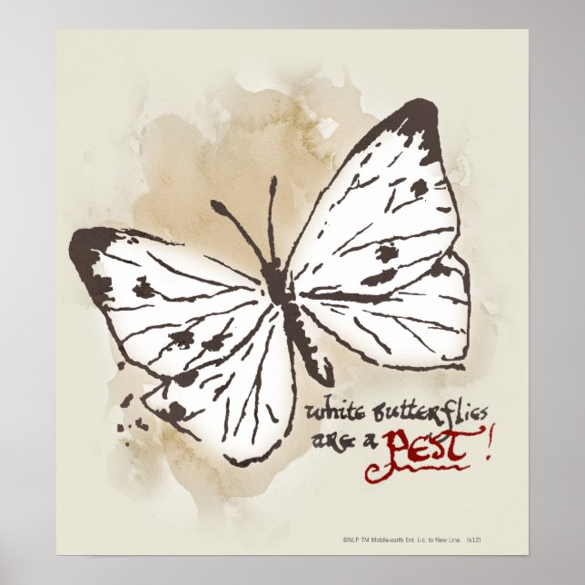 White Butterflies are a Pest Poster (Front)