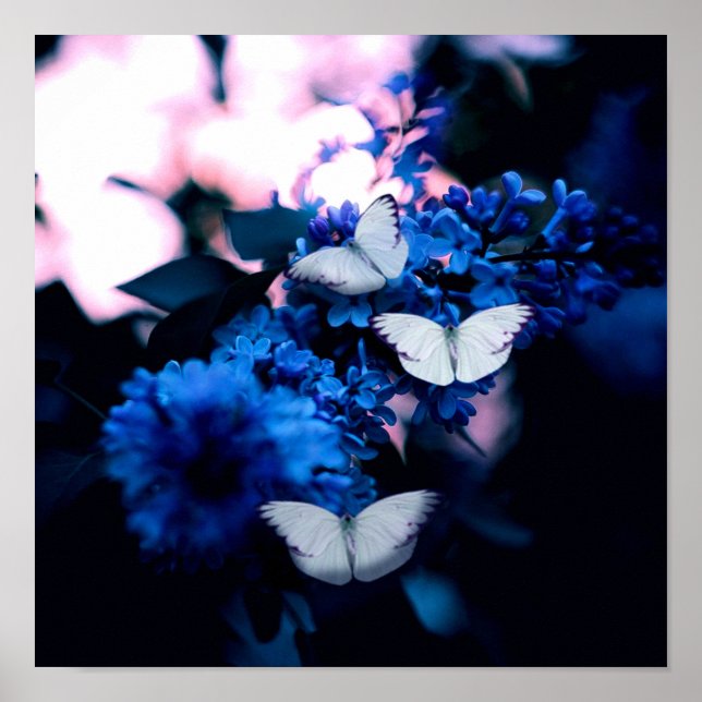White Butterflies Blue Flowers, butterfly Poster (Front)