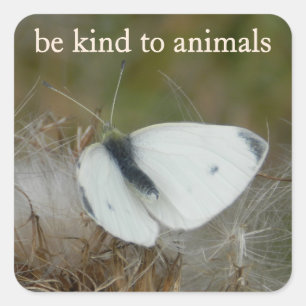 White Butterfly "Be Kind to Animals" Sticker Sheet