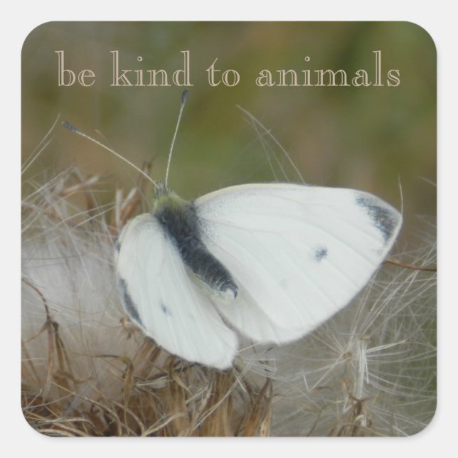 White Butterfly "Be Kind to Animals" Sticker Sheet (Front)