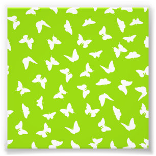 White Butterfly Green Background Aesthetic Pattern Photo Print