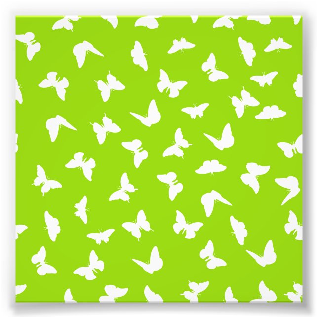 White Butterfly Green Background Aesthetic Pattern Photo Print (Front)