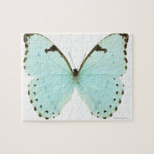 White butterfly jigsaw puzzle