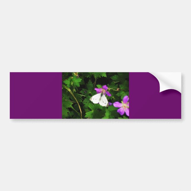 White Butterfly on Purple Flowers Bumper Sticker (Front)