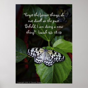 White Butterfly Poster