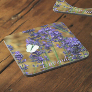 White Cabbage Butterfly on Lavender Floral Coaster