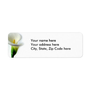 White Calla 1