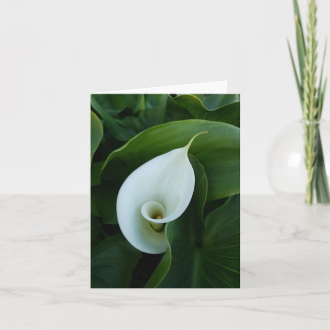 white calla green leaves greeting card (Front)