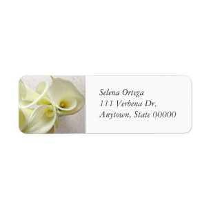 White calla lilies from above