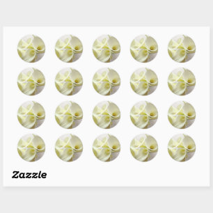 White calla lilies from above classic round sticker