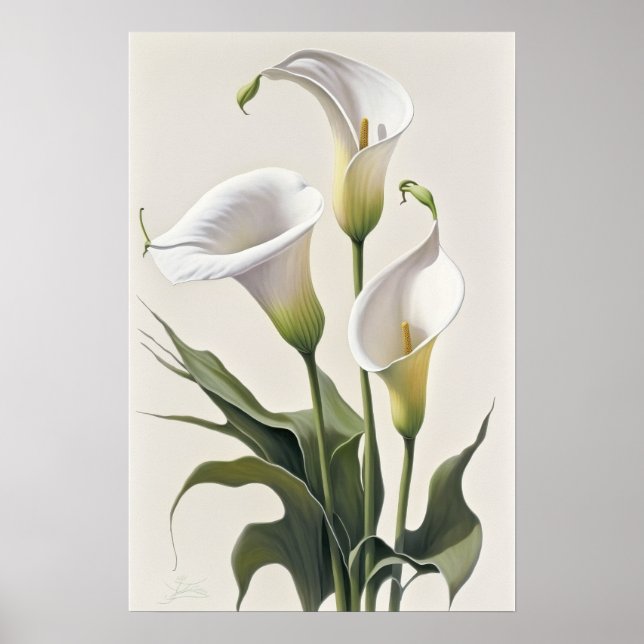 White Calla Lilies Lily Flower Art Print Poster (Front)