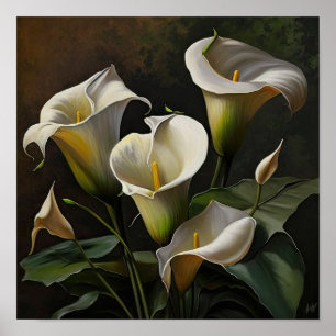 White Calla Lilies Lily Flower Art Print Poster