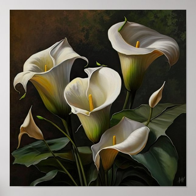White Calla Lilies Lily Flower Art Print Poster (Front)