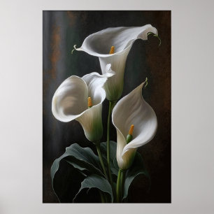 White Calla Lilies Lily Flower Art Print Poster