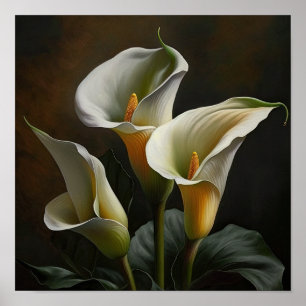 White Calla Lilies Lily Flower Art Print Poster