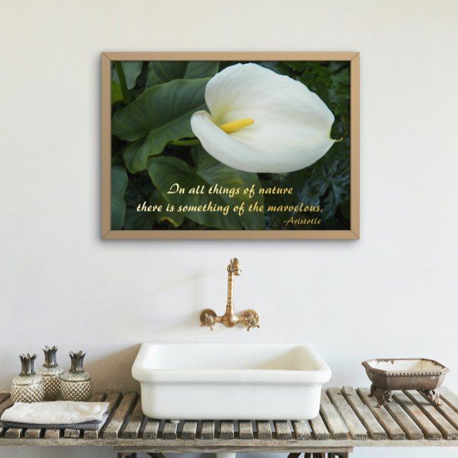 White Calla Lily Aristotle Philosophical Quote Foil Prints (In Situ Framed)