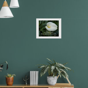 White Calla Lily Aristotle Philosophical Quote Poster